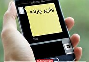 مسافرت خارجی، یارانه ۴۳۰ هزار نفر را قطع کرد