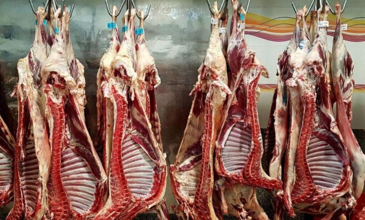 قیمت گوشت قرمز امروز ۱۰ اردیبهشت ۱۴۰۴ قیمت گوشت قرمز امروز ۱۰ اردیبهشت ۱۴۰۴