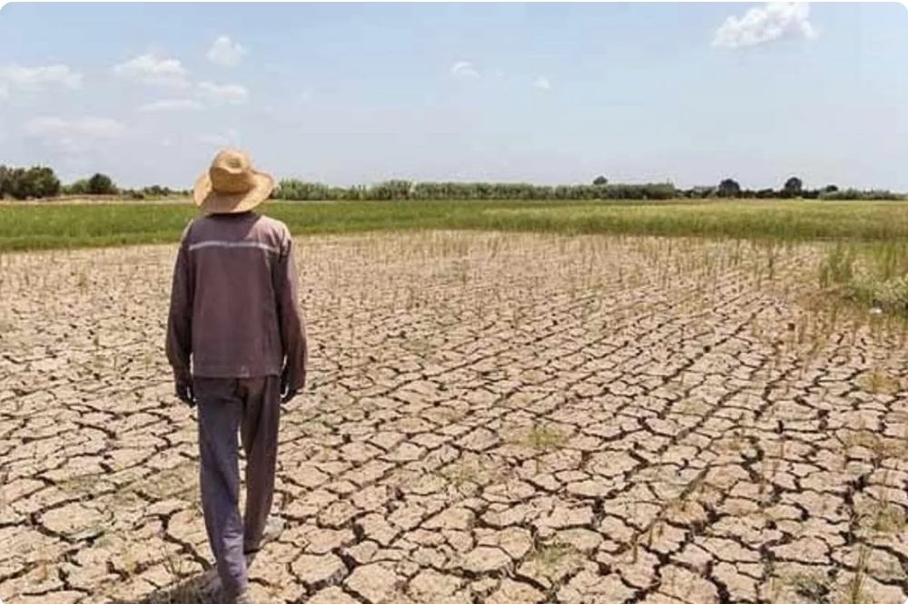 هشدارهای خشکسالی و تنش آبی در کدام استان ها جدی تر است؟ + جدول
