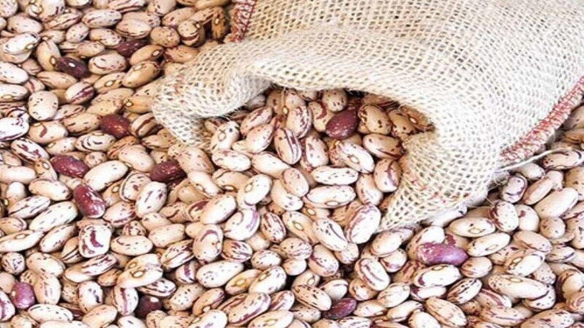 قیمت لوبیا چیتی به ۳۲۰ هزارتومان رسید قیمت لوبیا چیتی به ۳۲۰ هزارتومان رسید