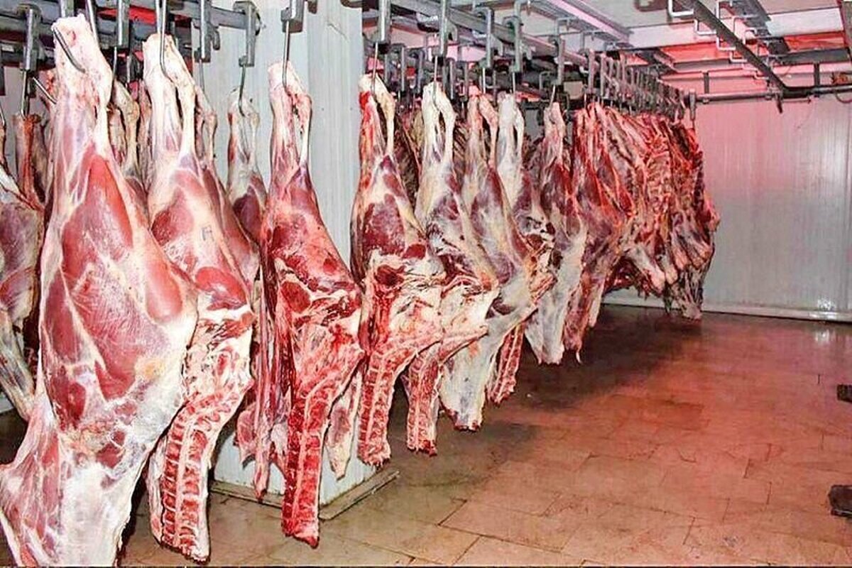 توقف توزیع گوشت یارانه ای از هفته آینده توقف توزیع گوشت یارانه ای از هفته آینده