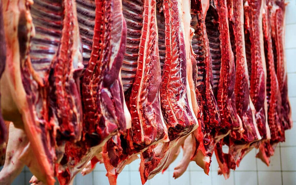 قیمت گوشت قرمز امروز ۲۳ اردیبهشت ۱۴۰۴ قیمت گوشت قرمز امروز ۲۳ اردیبهشت ۱۴۰۴