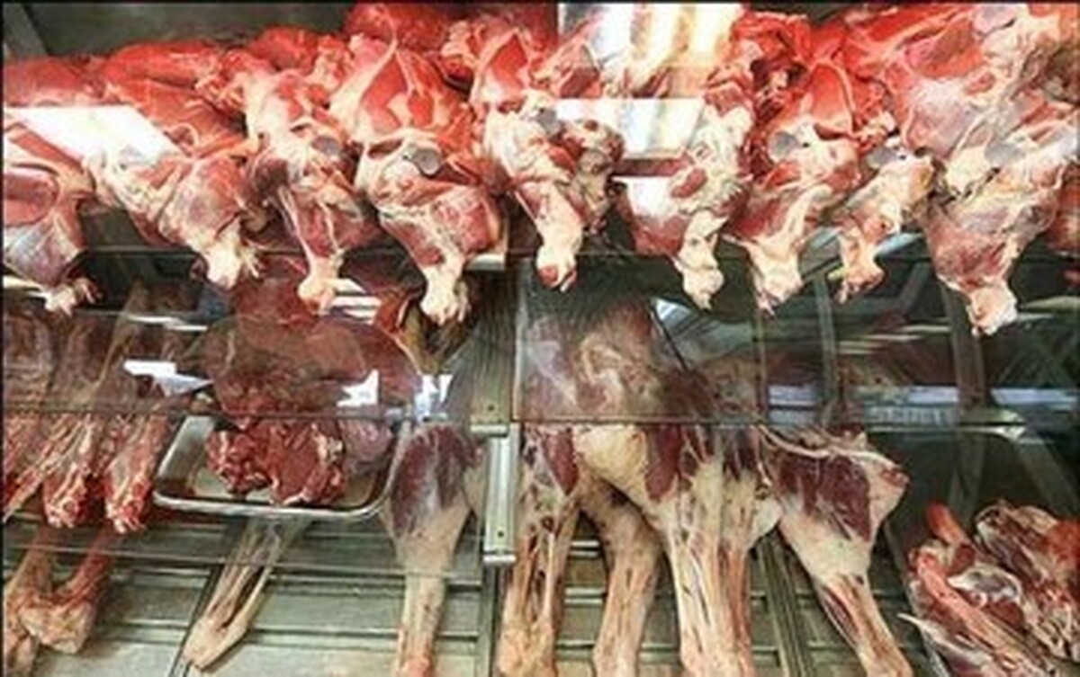 قیمت گوشت قرمز امروز ۲۴ اردیبهشت ۱۴۰۴/ دنبه گوسفندی چند؟ قیمت گوشت قرمز امروز ۲۴ اردیبهشت ۱۴۰۴/ دنبه گوسفندی چند؟