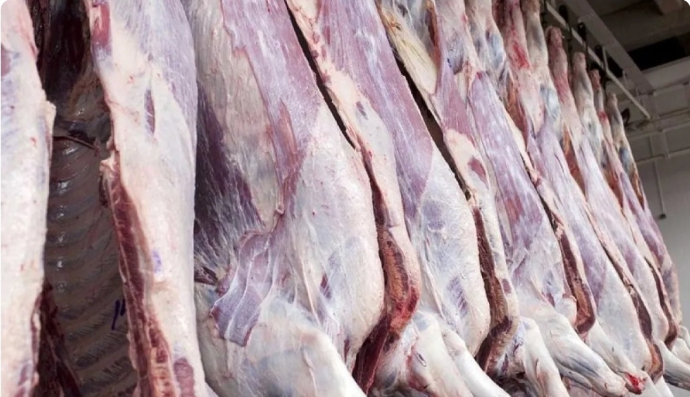 حذف ارز ترجیحی واردات گوشت چه تاثیری بر قیمت گوشت دارد؟