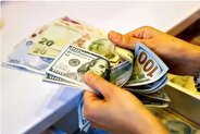 پیش‌بینی قیمت دلار در سال جاری؛ کارشناس اقتصادی: شاید ریزش سال ۱۳۶۷ تکرار شود