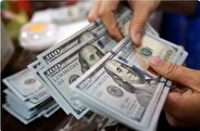 قیمت ارز امروز شنبه ۶ اردیبهشت ۱۴۰۴ / بازار ارز دچار نوسانات کاهشی شد