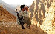 مرگ محیط بان پارک ملی گلستان با شلیک مستقیم