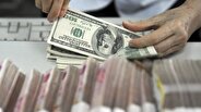 قیمت دلار صرافی ملی امروز یکشنبه 7 اردیبهشت 1404
