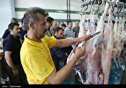توصیه های دامپزشکی برای رعایت اصول بهداشتی قربانی