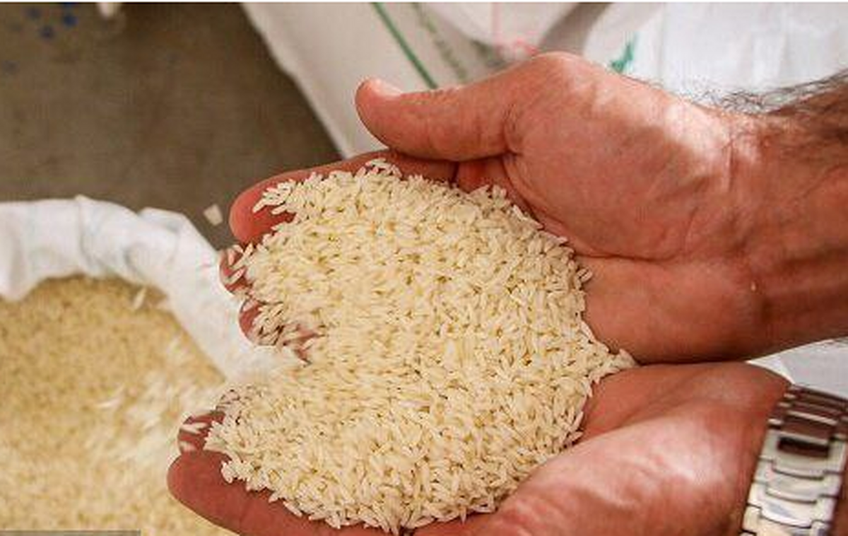 قیمت مصوب برنج در بازار اعلام شد