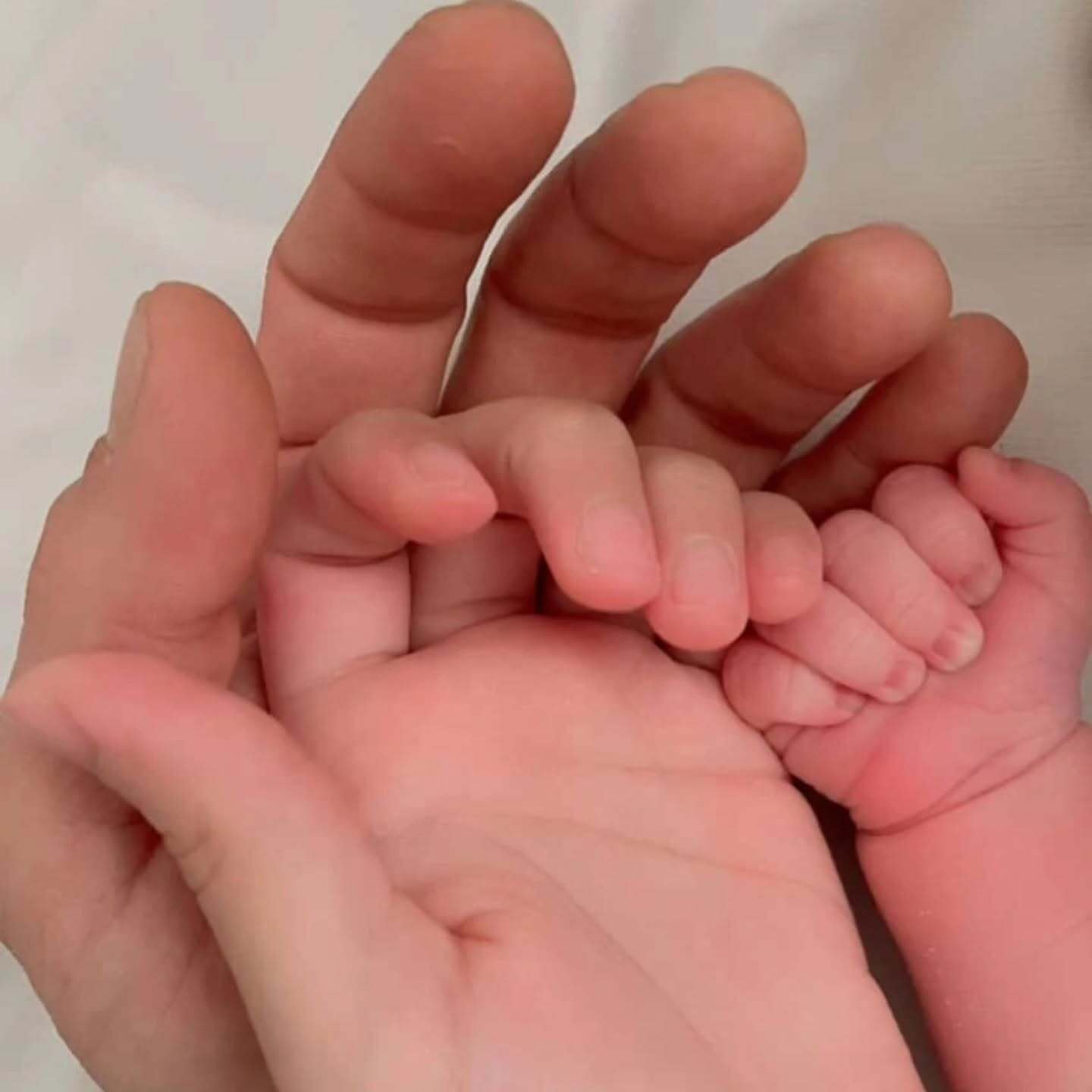 نوه فتحعلی اویسی هم به دنیا آمد+ عکس