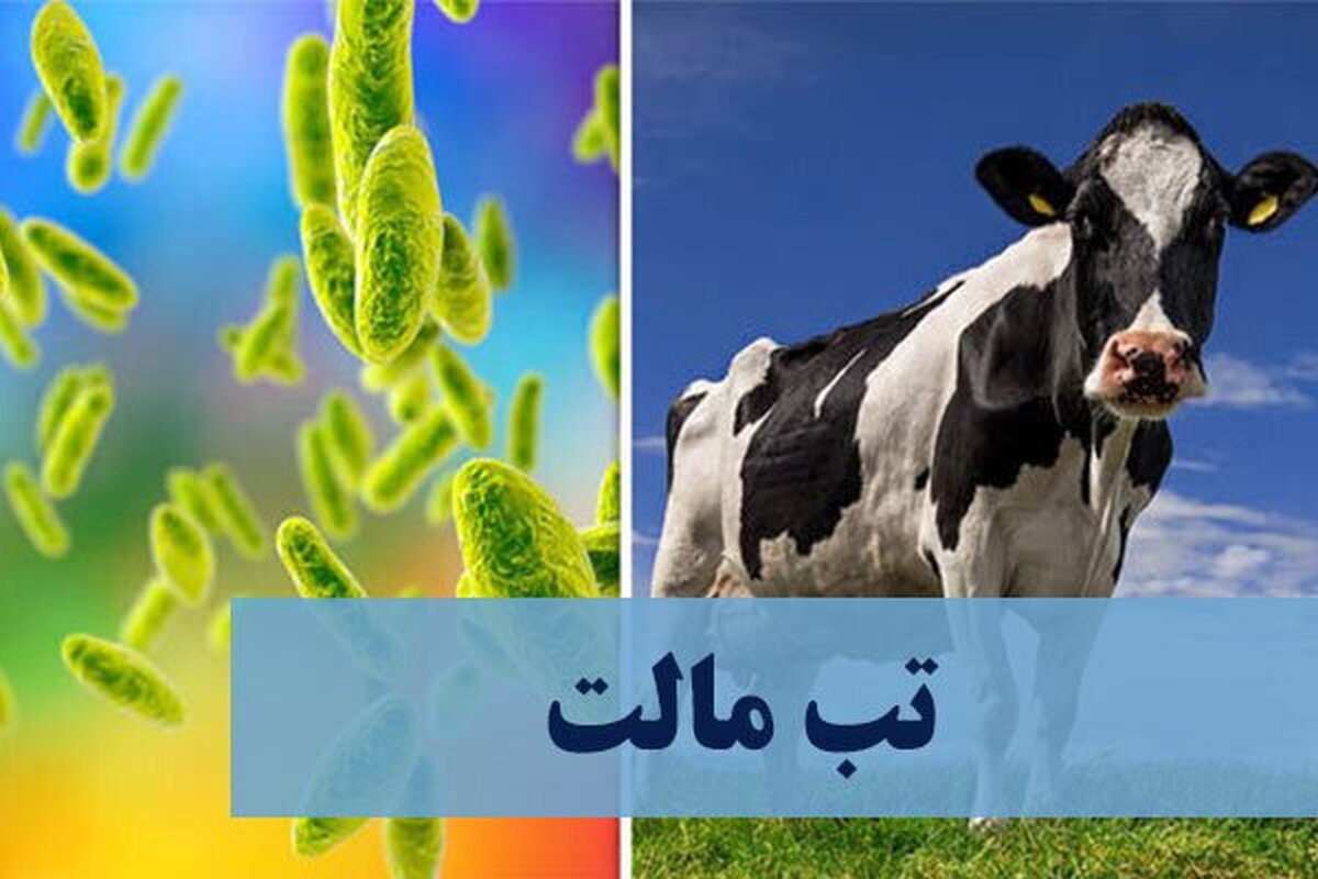 همه آن چیزی که باید درباره «بیماری هزار چهره» بدانید!