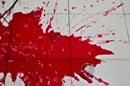 مرگ غم انگیز نوجوان ۱۴ ساله با اسلحه شکاری پدربزرگ