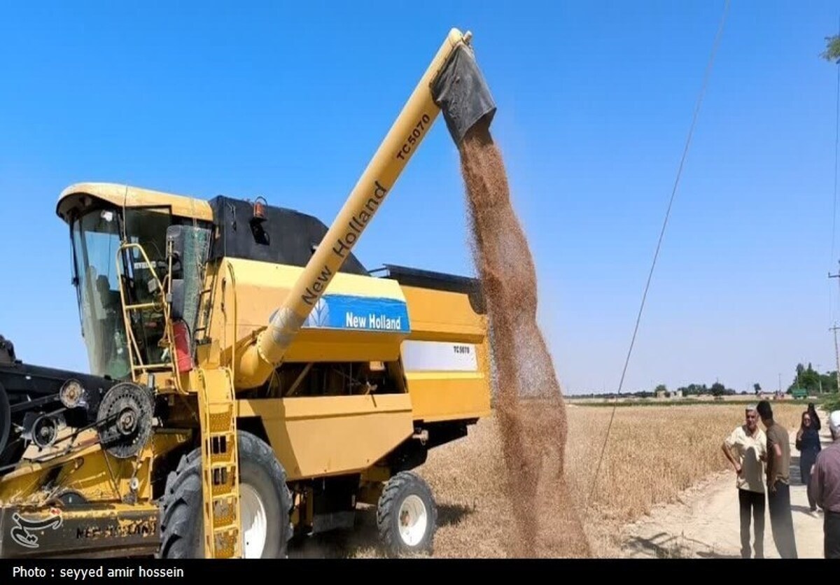 خرید تضمینی گندم از مرز ۳ میلیون و ۸۰۰ هزار تُن گذشت خرید تضمینی گندم از مرز ۳ میلیون و ۸۰۰ هزار تُن گذشت