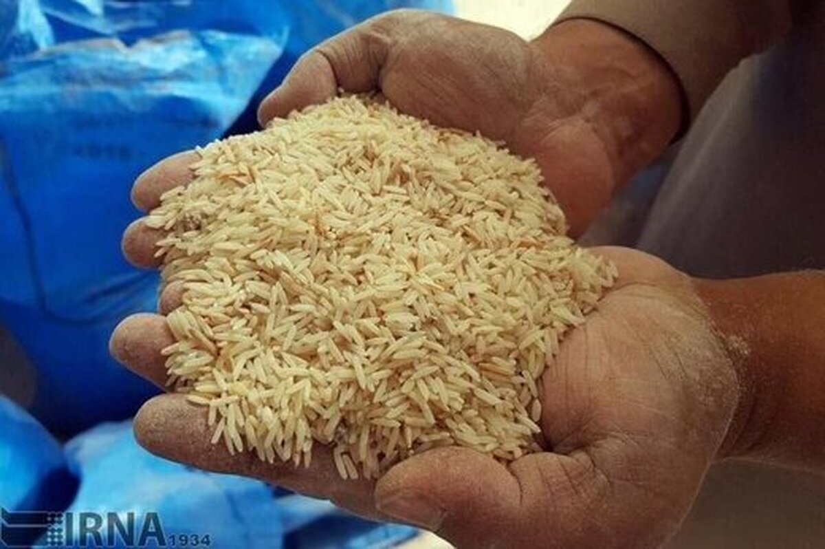 قیمت برنج به شدت تغییر کرد/ کنگری: کاسیان از این قیمت بالاتر برنج بفروشند، جریمه میشوند قیمت برنج به شدت تغییر کرد/ کنگری: کاسیان از این قیمت بالاتر برنج بفروشند، جریمه میشوند