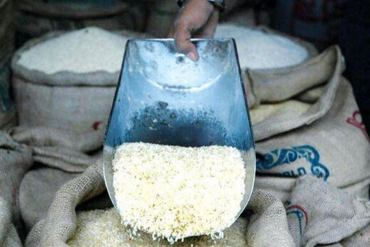 ریزش شدید قیمت برنج آغاز شد/ خریداران دست نگه داشتند ریزش شدید قیمت برنج آغاز شد/ خریداران دست نگه داشتند