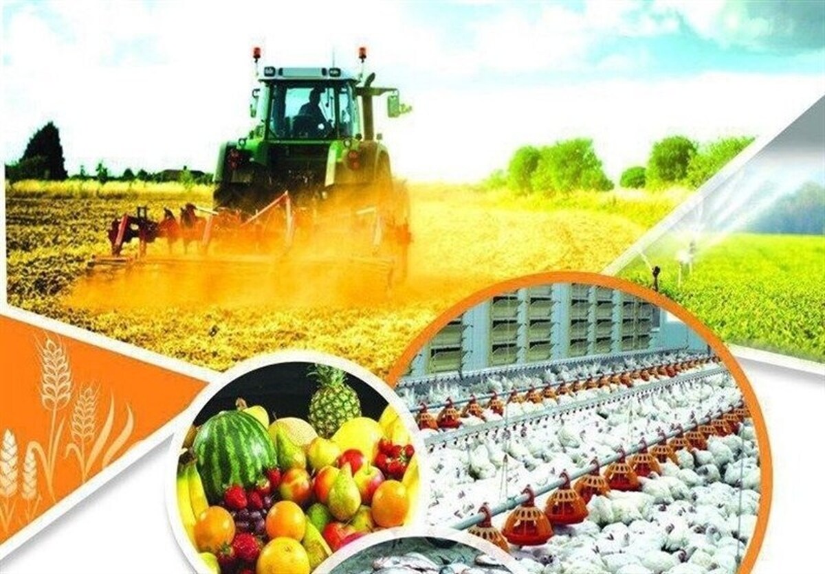 تامین حداکثری ذخایر راهبردی کشاورزی برای ۶ ماه تامین حداکثری ذخایر راهبردی کشاورزی برای ۶ ماه