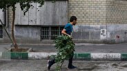 وزش تندباد لحظه‌ای در تهران/ ماندگاری هوای گرم طی هفته آینده