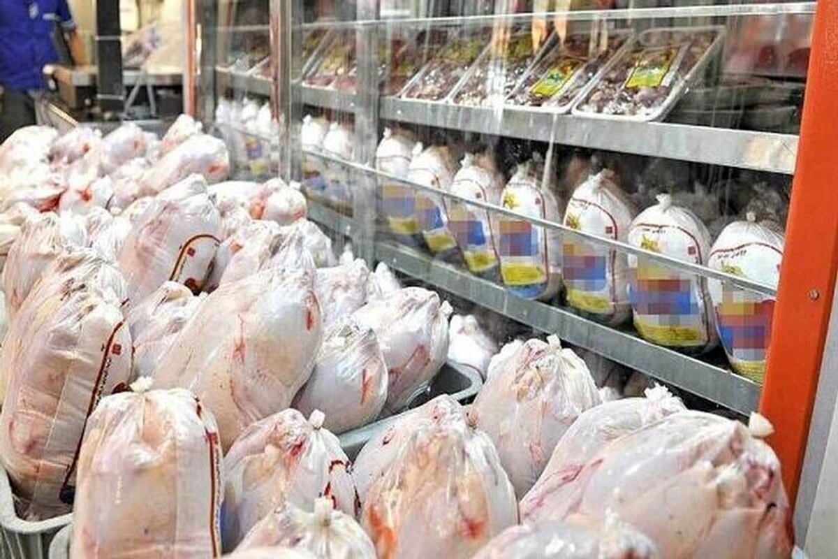 توزیع روزانه تا ۱۵۰۰ تن گوشت مرغ در تهران توزیع روزانه تا ۱۵۰۰ تن گوشت مرغ در تهران