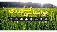 کشاورزان و گلخانه داران هشدار وزش باد را جدی بگیرند