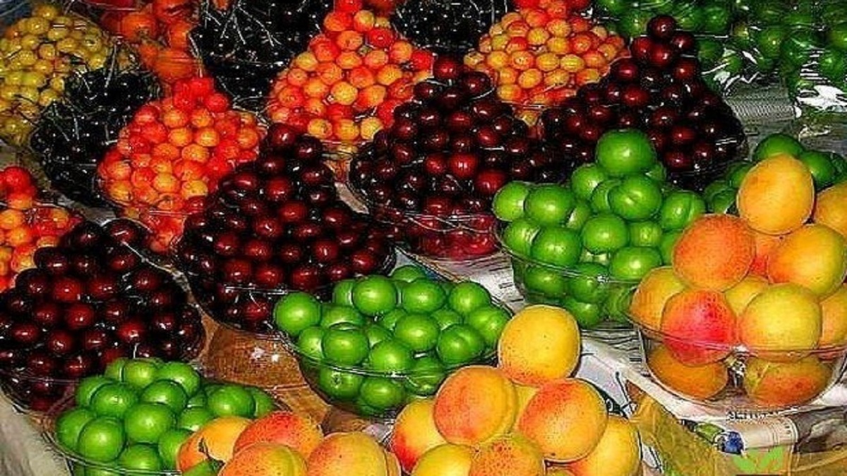 سیب زمینی و پیاز ارزان شد سیب زمینی و پیاز ارزان شد