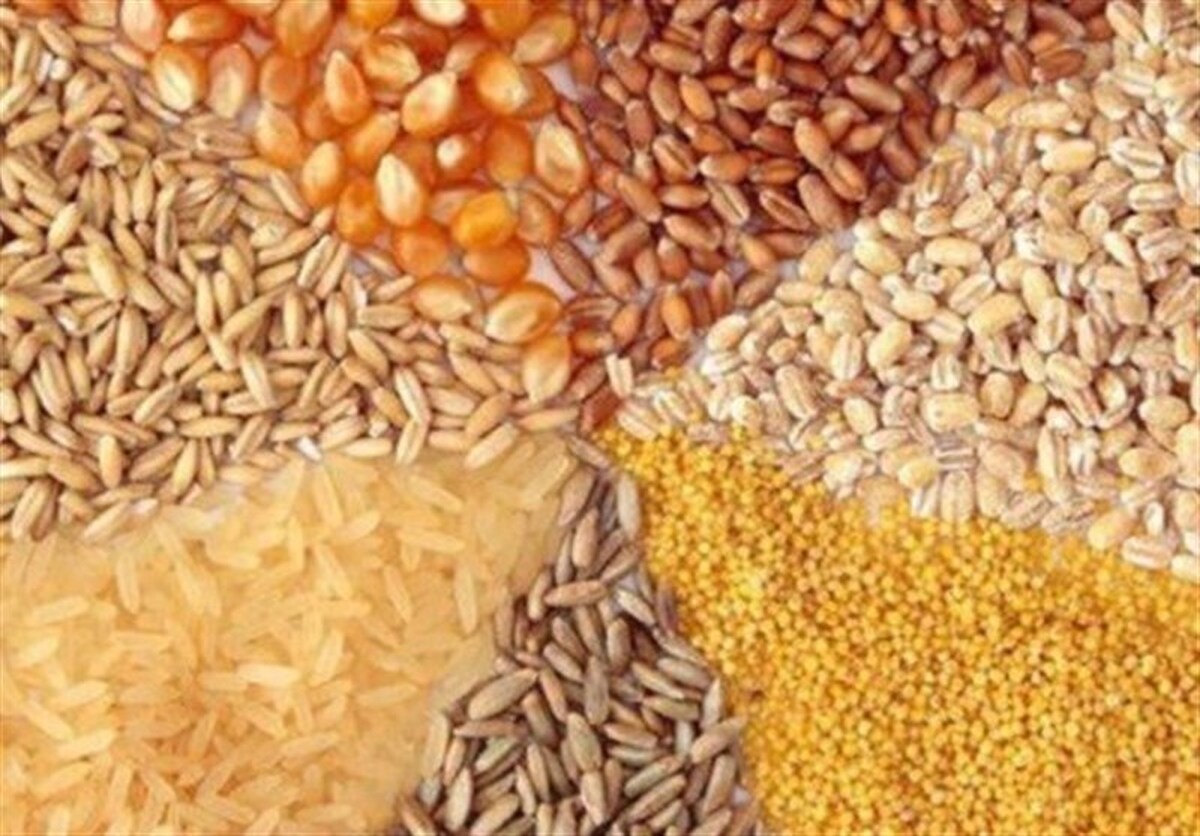 قیمت مصوب جدید نهادههای دامی، روغن و شکر خام اعلام شد قیمت مصوب جدید نهادههای دامی، روغن و شکر خام اعلام شد