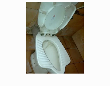 خلاقیت خنده‌دار مهندس تحصیلکرده آن‌ور‌آبی در پیوند توالت ایرانی به فرنگی+عکس
