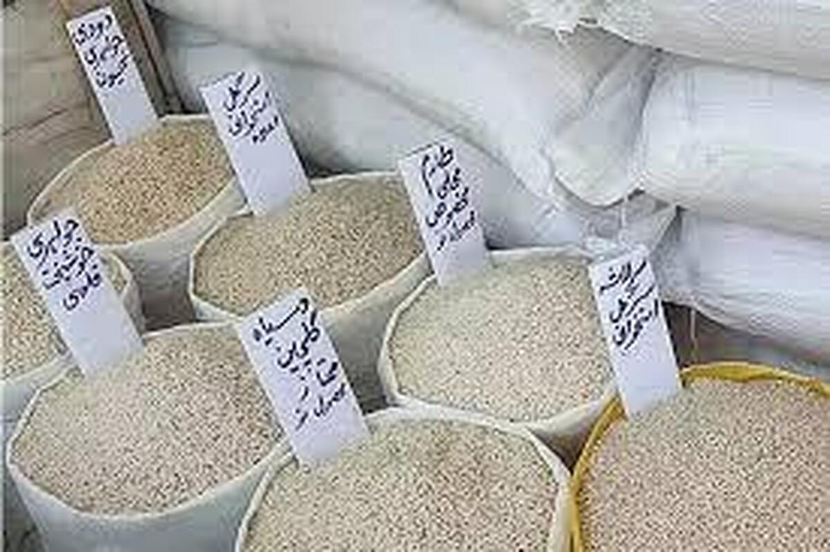 دلایل گرانی برنج از زبان برخی نمایندگان مجلس