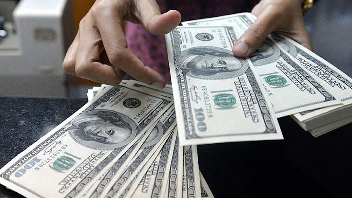 میزان تامین ارز واردات امسال از ۱۸ میلیارد دلار عبور کرد