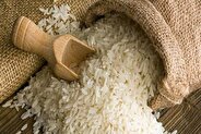 ثبت سفارش جدید برنج وارداتی آغاز شد