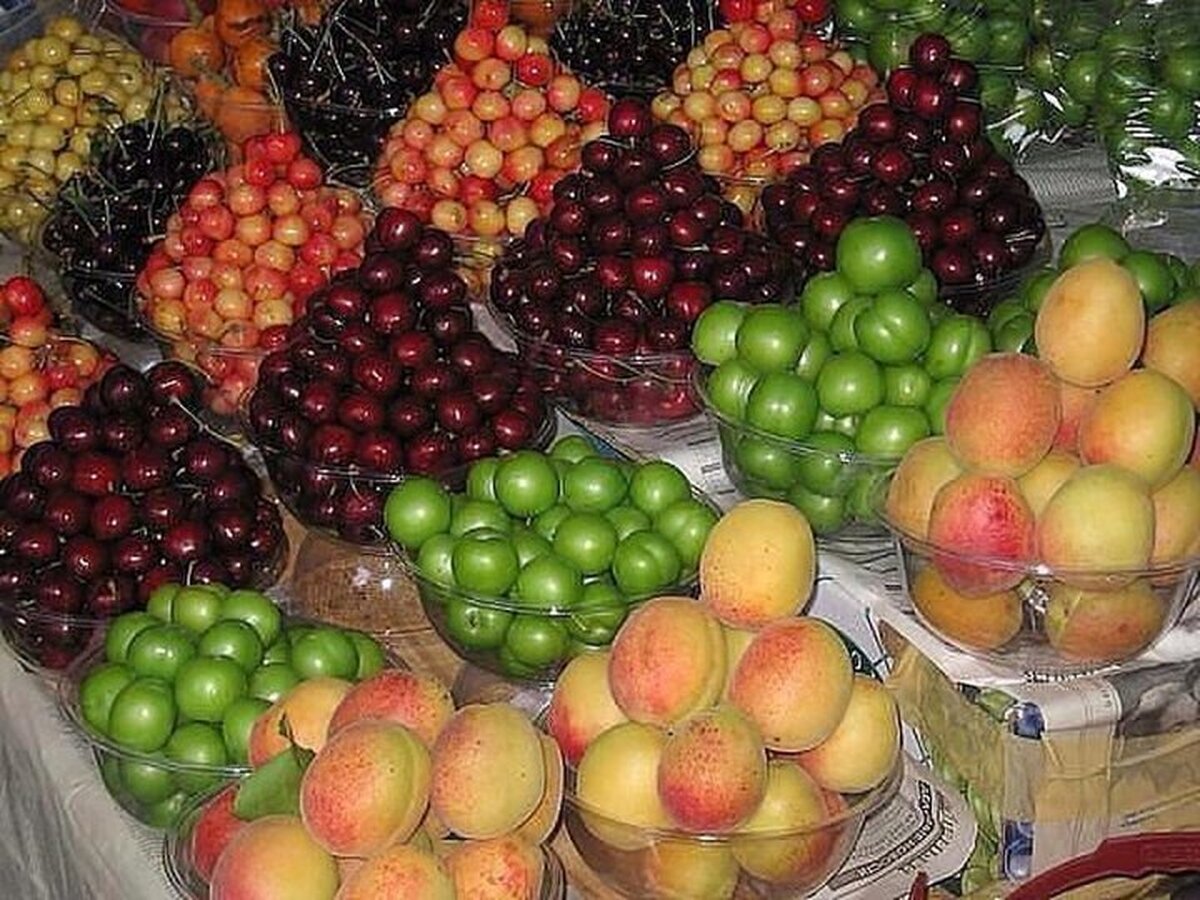 میوه ۲۰ درصد ارزان میشود