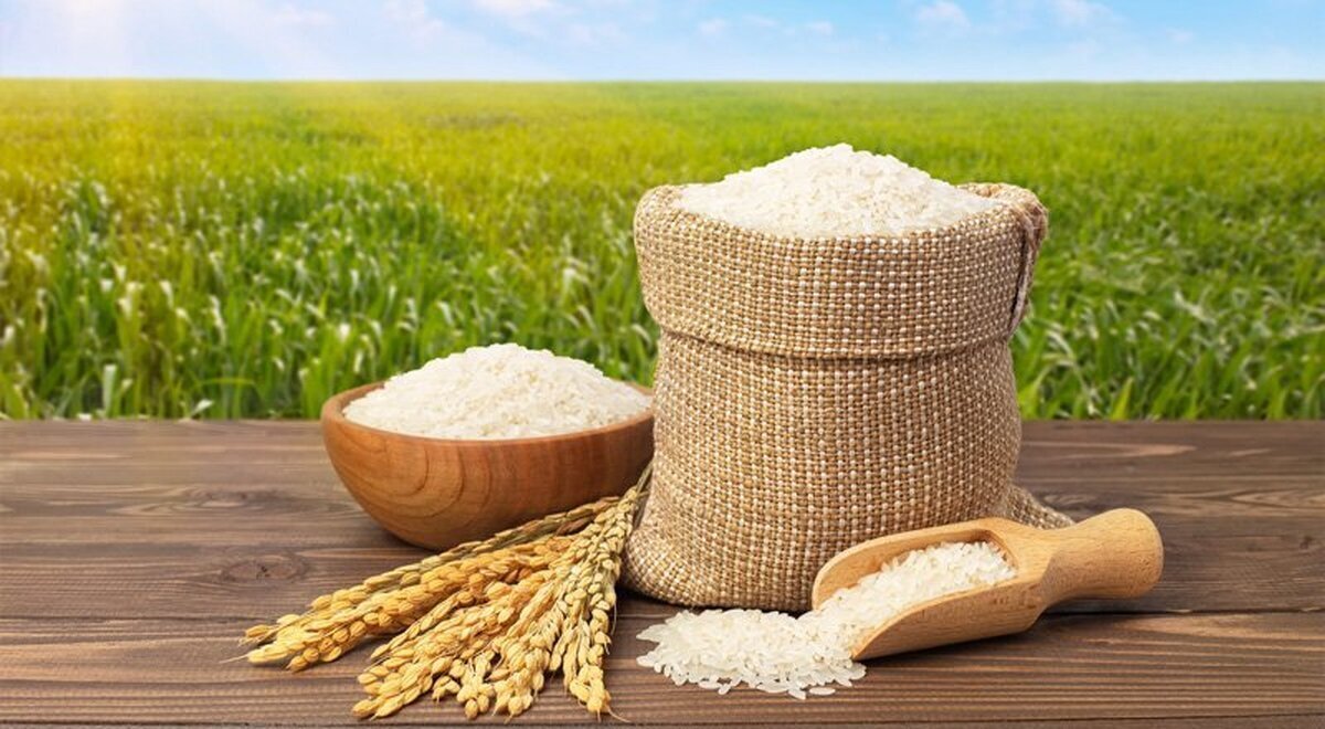 برنج هاشمی چند شد؟