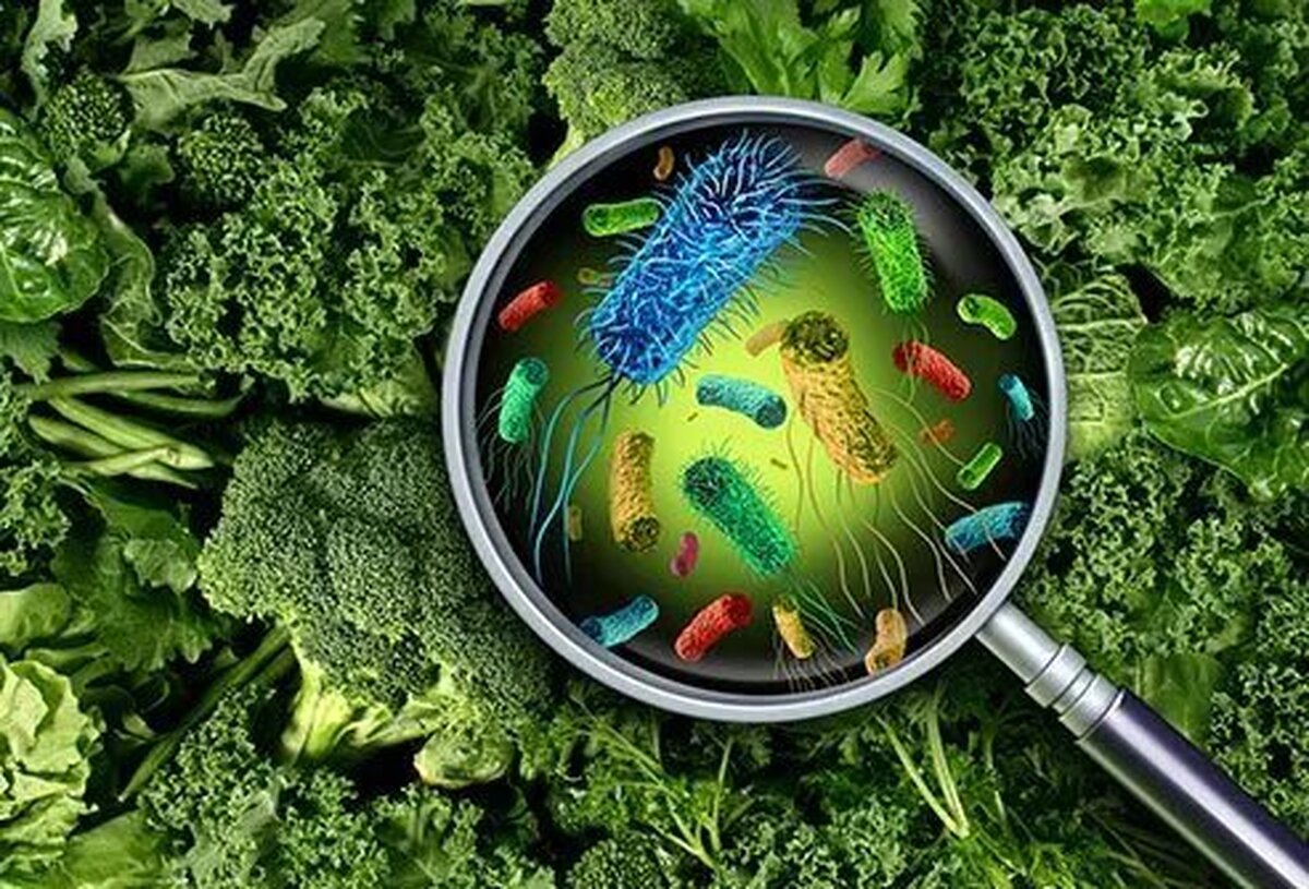  مراقب مسمومیت‌های غذایی باشید