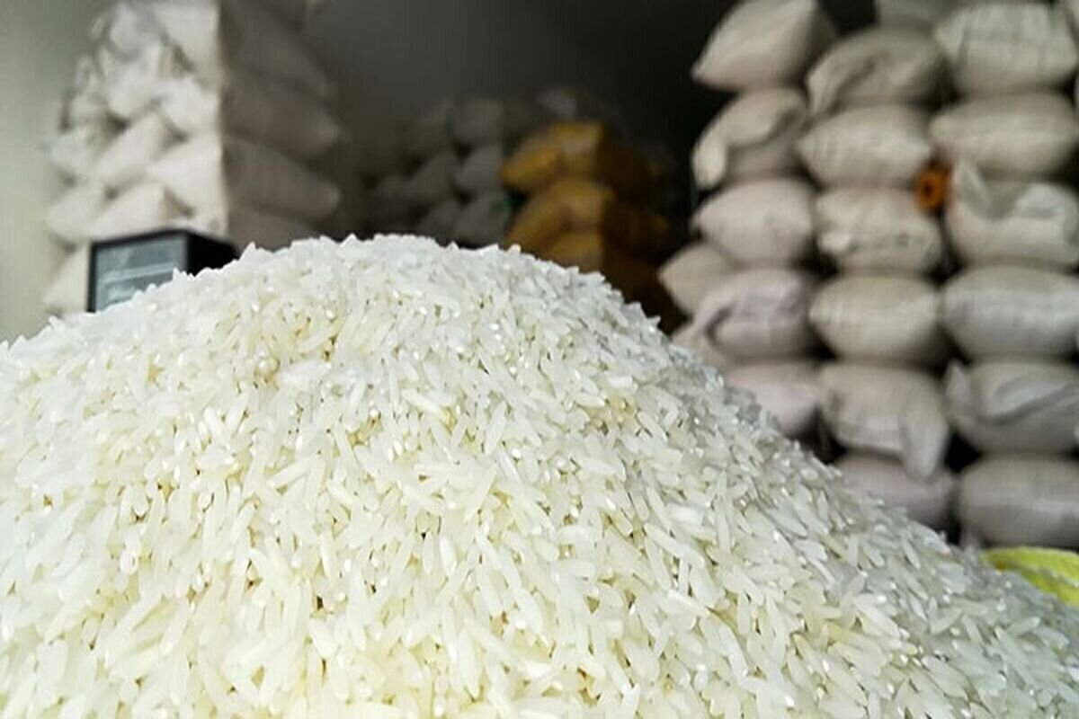 برنج در بازارگاه به زودی عرضه می شود