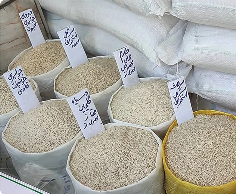 قیمت برنج ایرانی از مرز ۳۰۰ هزار تومان عبور کرد / تولیدکنندگان و صادرکنندگان برنج خواستار حذف ارز ترجیحی هستند