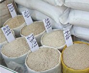 قیمت برنج ایرانی از مرز ۳۰۰ هزار تومان گذشت / تولیدکنندگان و صادرکنندگان برنج خواستار حذف ارز ترجیحی هستند