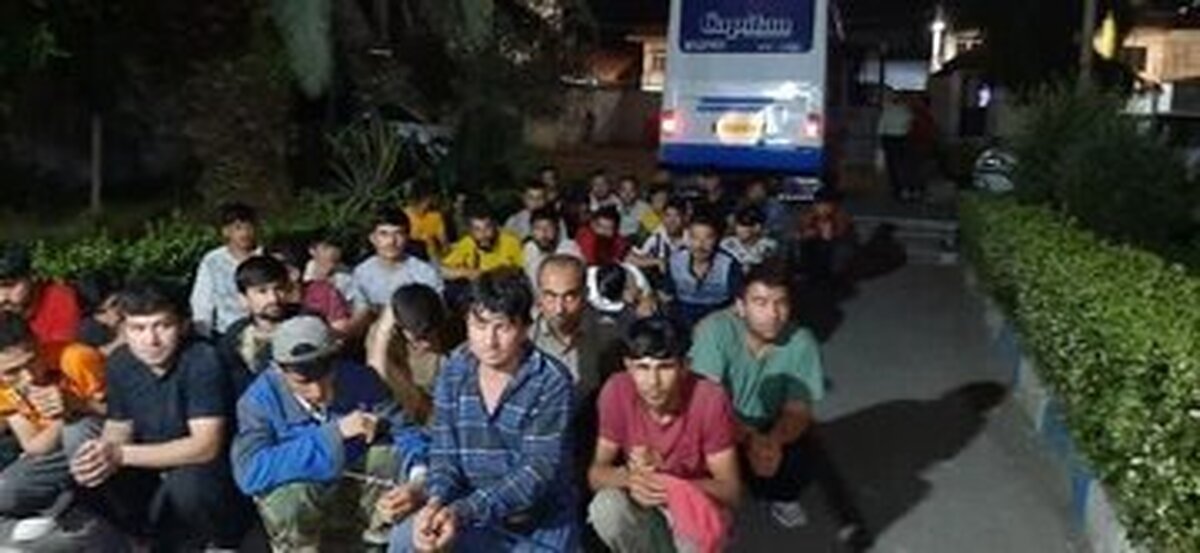 خبر مهم درباره جمع‌آوری اتباع در این شهر شمالی