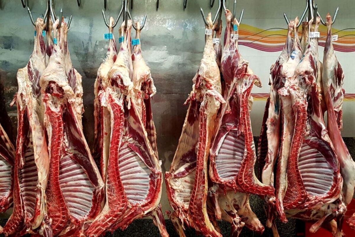 قیمت گوشت قرمز امروز ۹ مرداد ۱۴۰۴