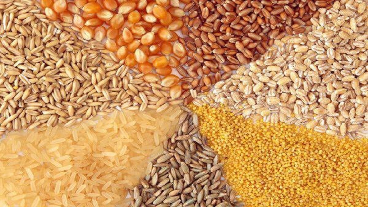 سالانه ۶ میلیون تن جو در کشور مصرف میشود