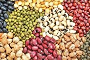 لوبیاچیتی ایرانی و وارداتی ارزان شد/ مصرف‌کنندگان منتظر کاهش بیشتر قیمت‌ها باشند؟