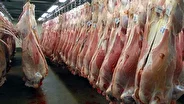 واردات ۲۰ هزارتن گوشت به کشور