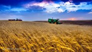 قیمت خرید تضمینی گندم مبنای نرخ گذاری سایر محصولات قیمت خرید تضمینی گندم مبنای نرخ گذاری سایر محصولات