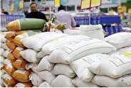 ۱۵۰ هزار تن برنج‌ هندی و پاکستانی در بازار با قیمت مصوب توزیع شد