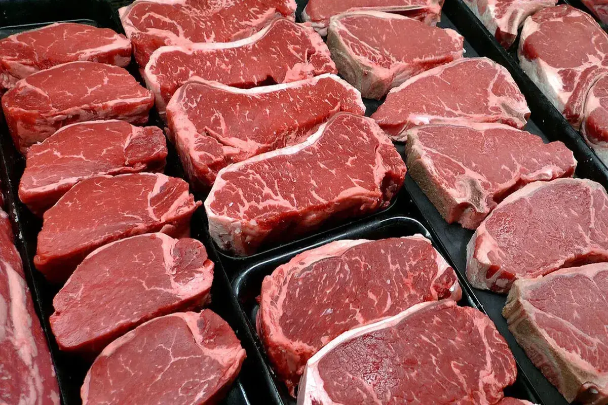 توقیف ۱۰۰ تن گوشت قرمز وارداتی از مغولستان به‌دلیل نداشتن اسناد
