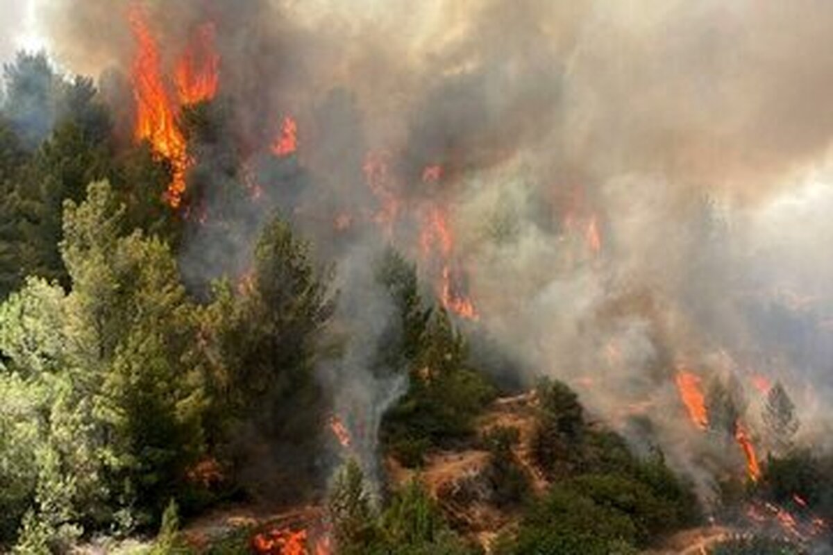 جزئیات آتشسوزی گسترده در استان فارس