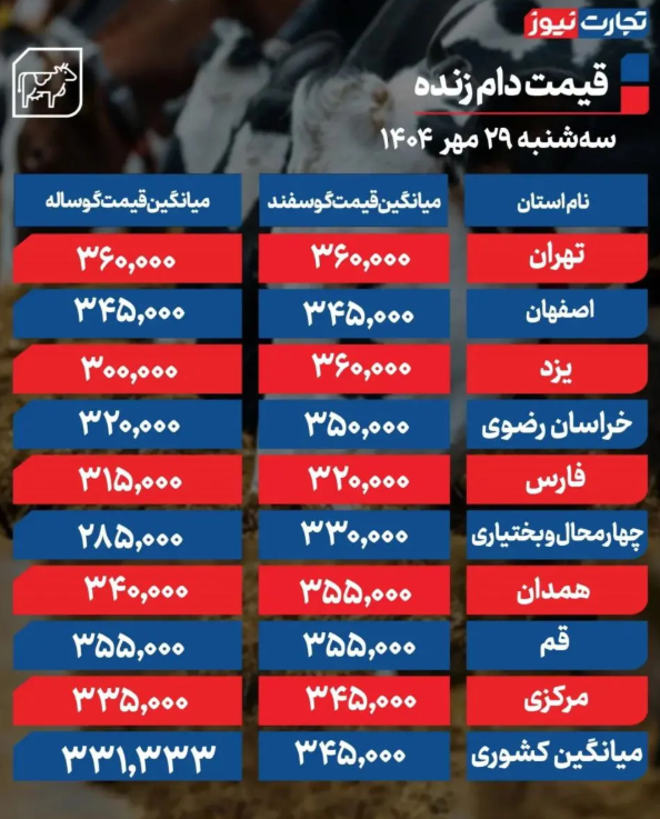 قیمت دام زنده امروز سه شنبه ۲۹ مهر۱۴۰۴ اعلام شد + جدول