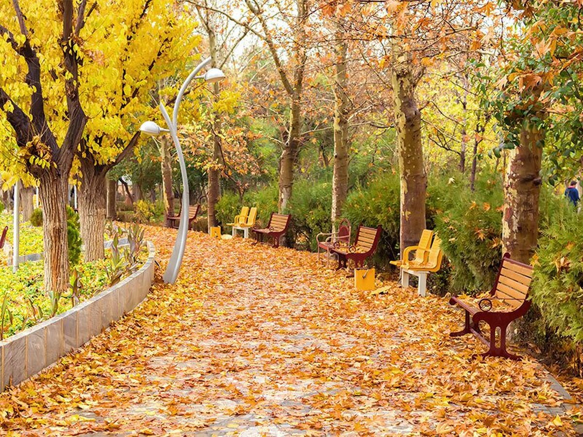 این مناطق از امشب منتظر رگبار باران باشند