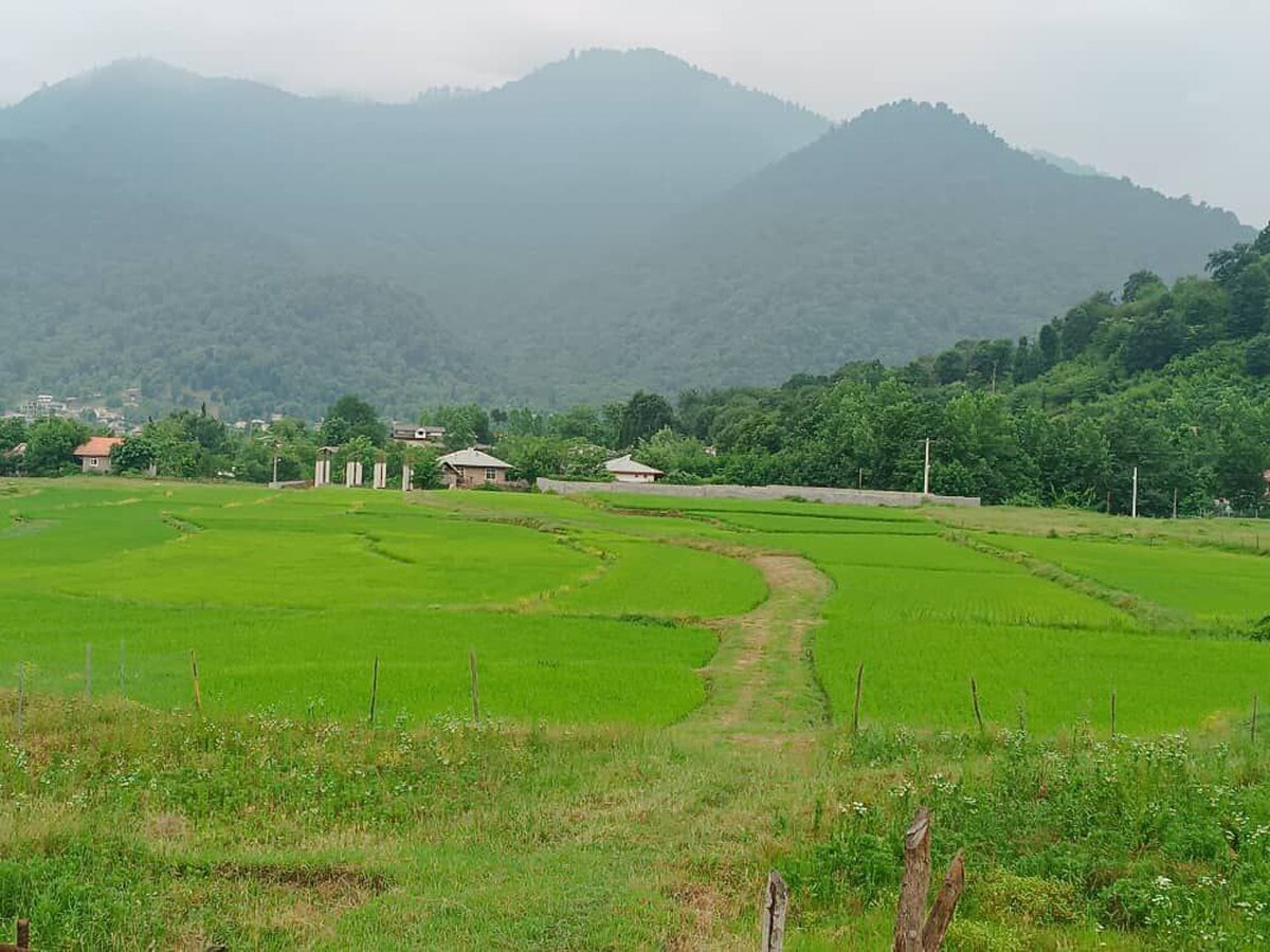 چگونه به ماسال سفر کنیم؟