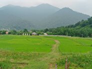 چگونه به ماسال سفر کنیم؟