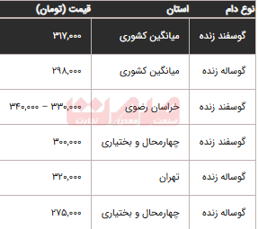 قیمت دام زنده امروز چهارشنبه ۹ مهر ۱۴۰۴ اعلام شد+ جدول